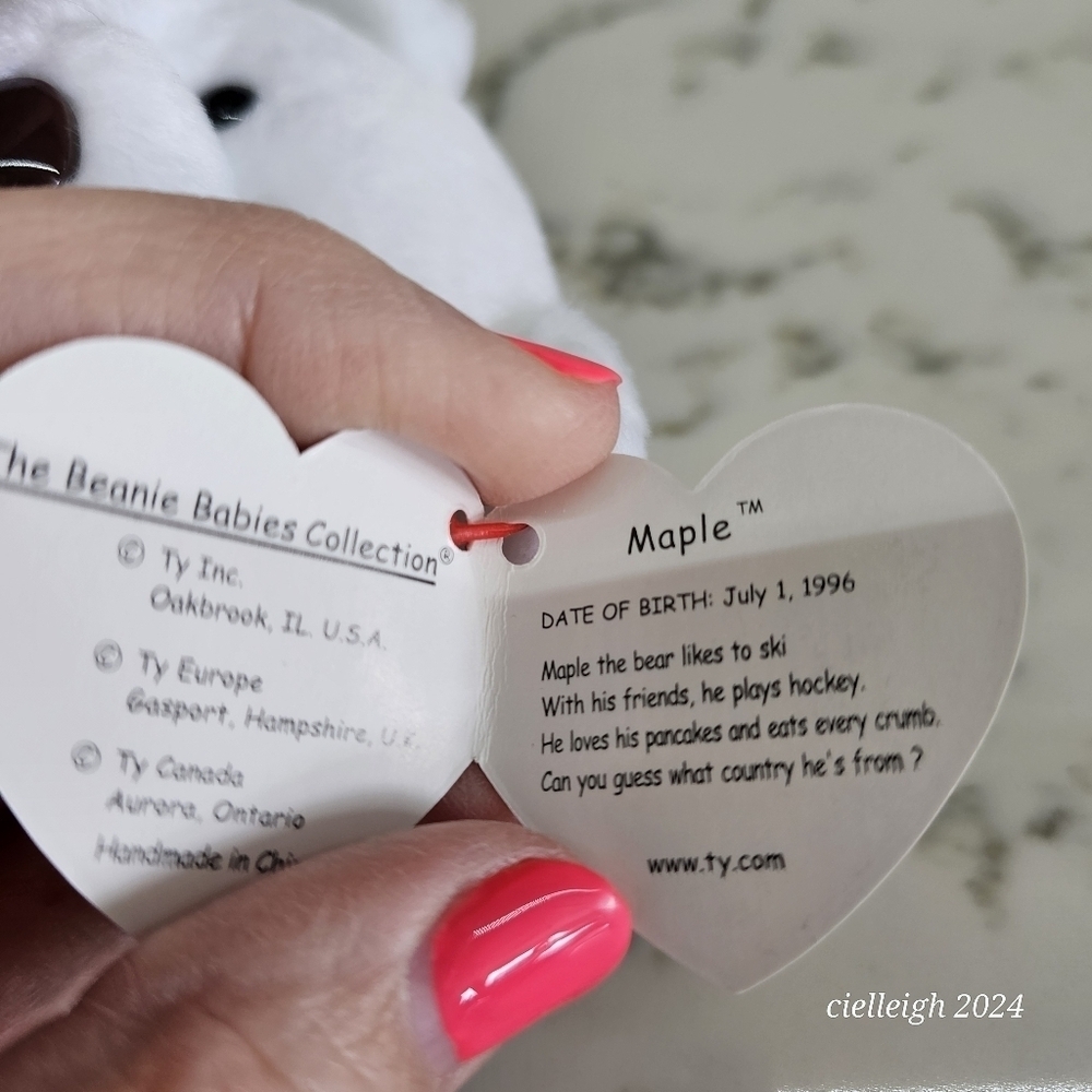 Maple The Bear TY Beanie Baby - Picture 4 of 5